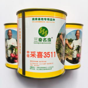 三秦名珠采喜3511洋葱种子 红皮高产圆葱籽 菜园基地秋季播种种子