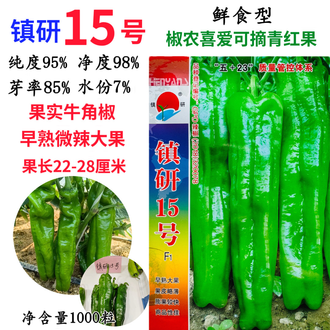 镇研15号辣椒种子早熟杂交大果牛角椒种籽微辣青红两用春秋高产