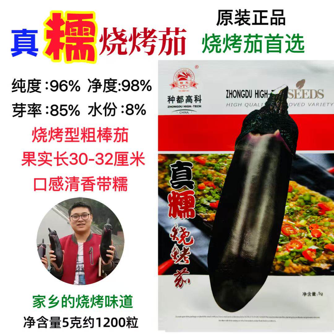 真糯烧烤茄种子 种都高科黑亮长茄子 果肉软糯适合烧烤大田蔬菜籽