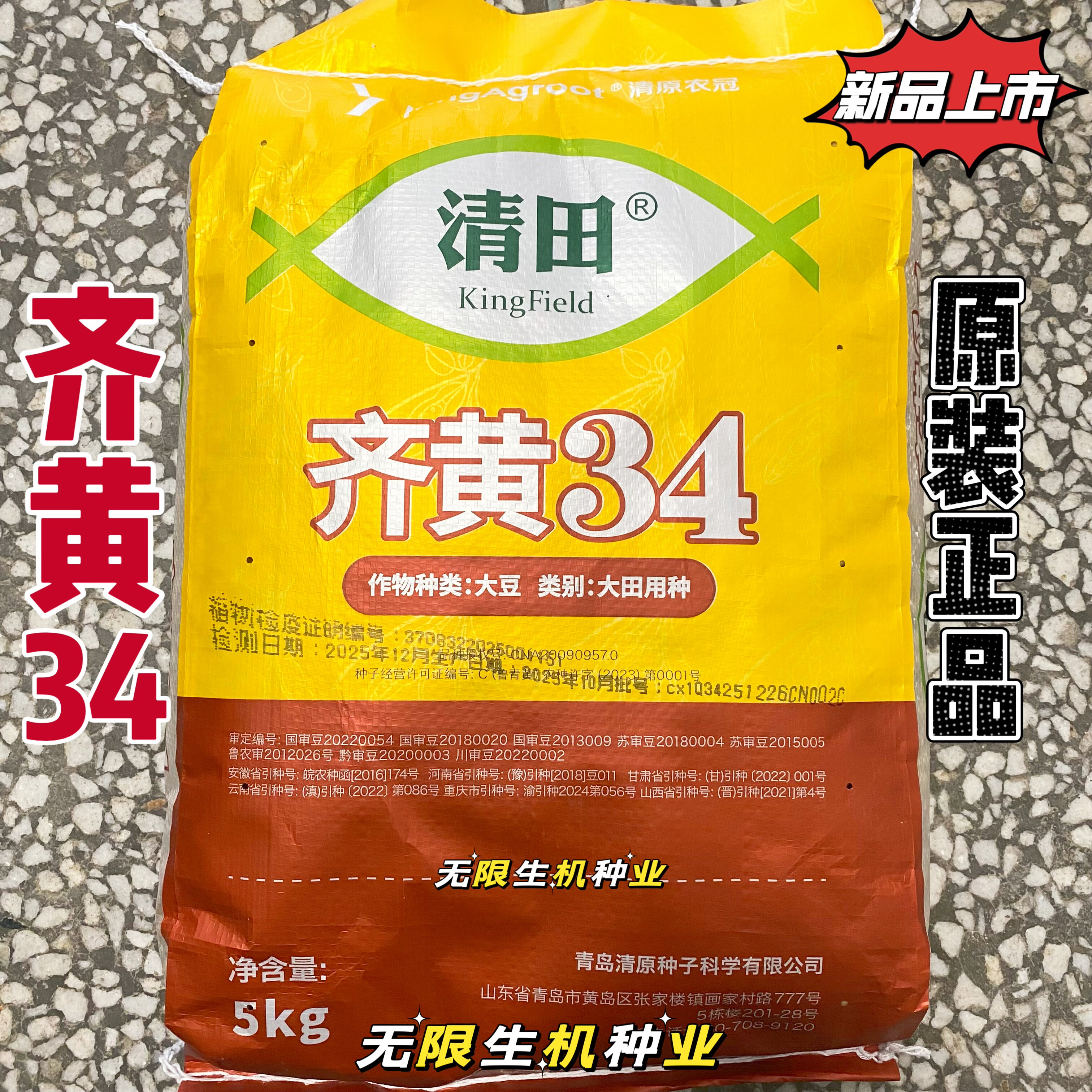 齐黄34黄豆种子原装正品国审高产稳产抗病抗旱耐高温优质大豆种子