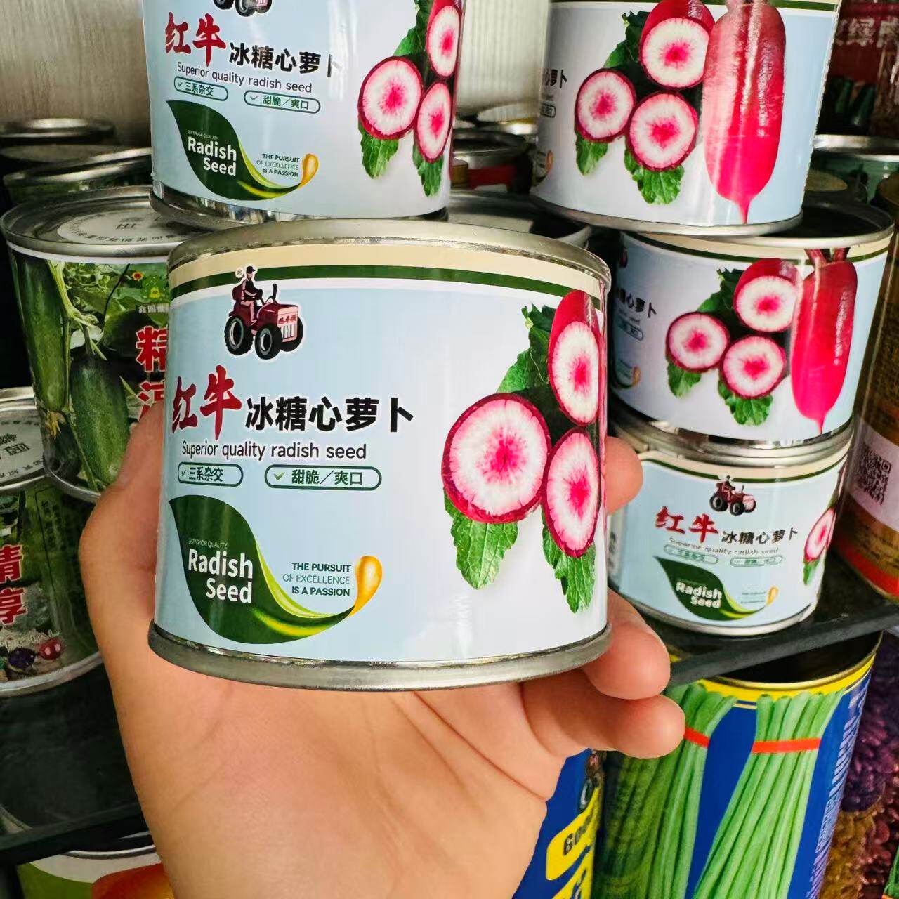红牛冰糖心萝卜种子紫红皮浅白肉水果萝卜种籽口感甜脆多汁无辣味
