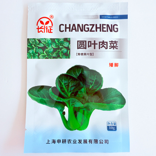 矮脚圆叶肉青菜种子 青梗黑叶上海青籽 阳台菜园多季播种青菜种子