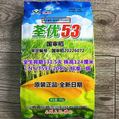 53水稻种子高产矮杆长粒香米一级