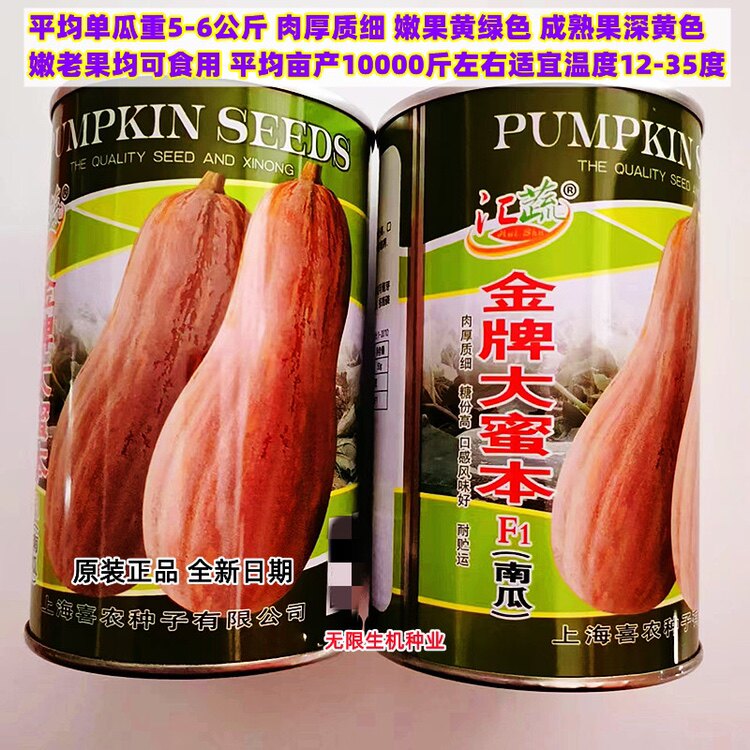 金牌大蜜本南瓜种籽超甜粉糯吊瓜种子特大巨型瓜春夏秋季瓜果种孑