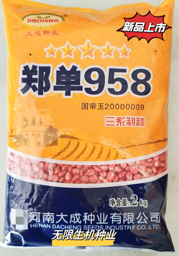 国审原装正品玉米种子郑单958高产杂交矮杆大棒玉米种籽春播夏播