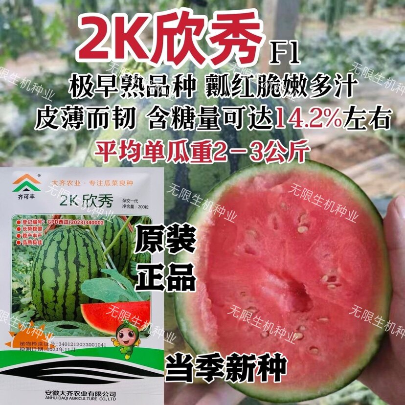 2K欣秀西瓜种子特甜礼品西瓜种籽红瓤皮薄糖分高早熟高产水果种孑