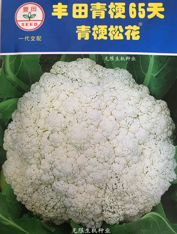 优美70青花菜种子孑春季西兰花种籽白花菜籽中早熟青花菜菜种子 森怡u汇 优美70青花菜种子孑春季西兰花种籽白花菜籽中早熟青花菜菜种子 森怡u汇