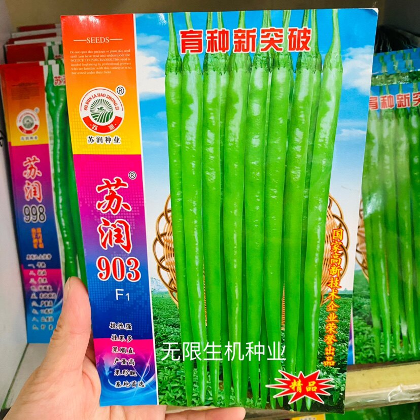苏润903辣椒种子早熟绿色长果线椒种子抗病高产辣味强春夏秋正品