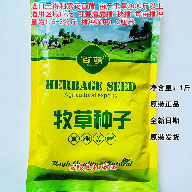 进口紫花苜蓿种子多年生苜蓿草种子四季常青牧草鸡鸭鹅牛羊鱼草籽