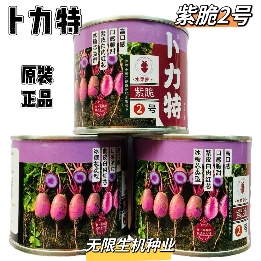 卜力特紫脆2号水果萝卜种子冰糖芯紫皮白肉紫芯穿心红脆甜萝卜种