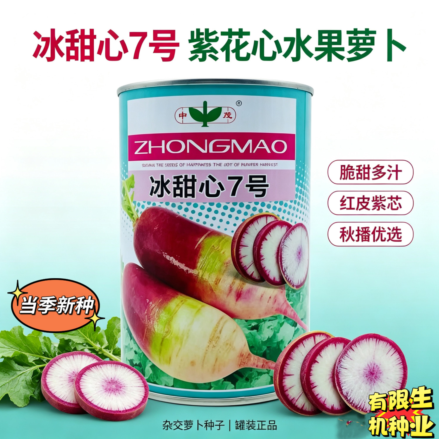 冰甜心7号萝卜种子 紫花芯水果萝卜 脆甜 大田庭院秋季播种萝卜种
