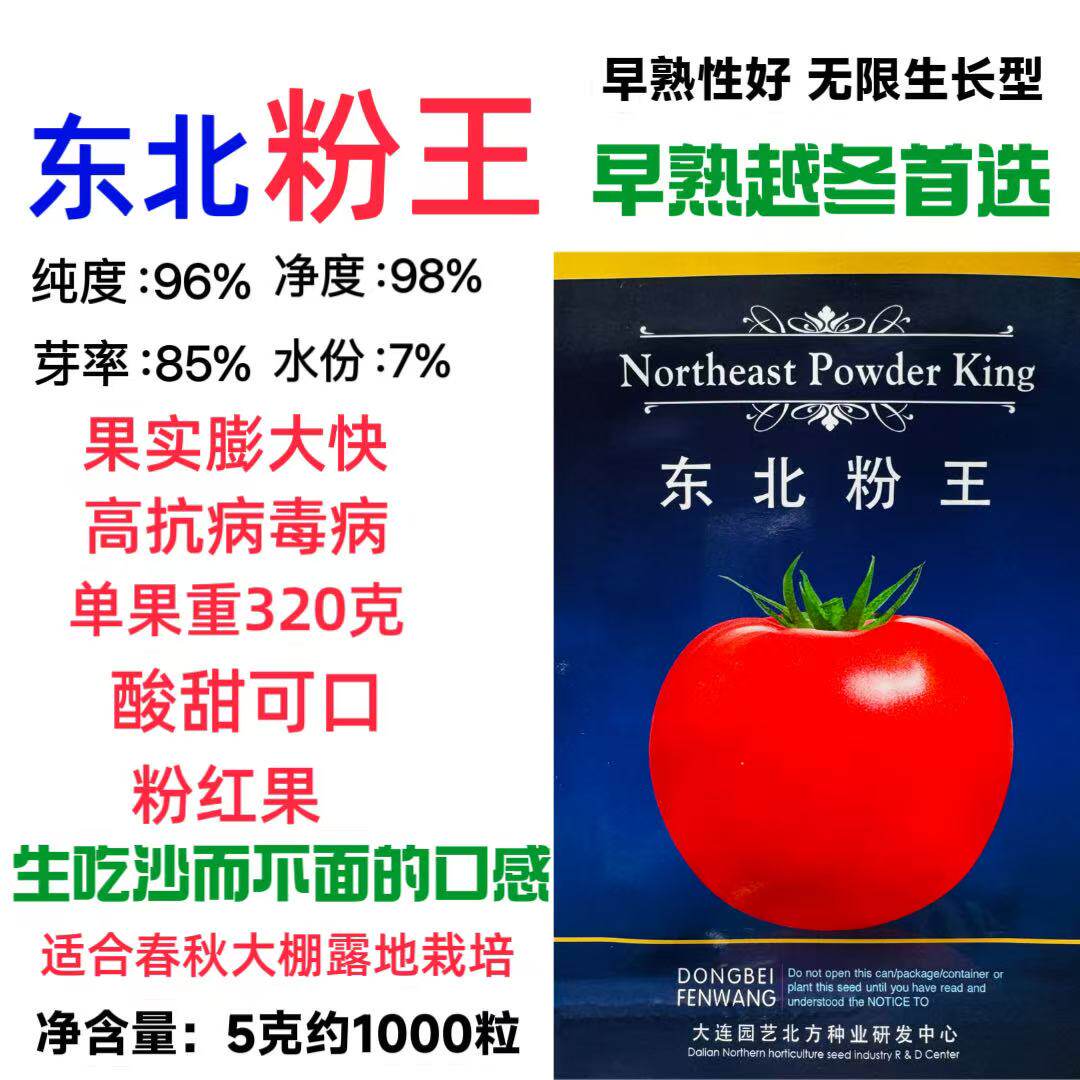 东北粉王番茄种子粉红西红柿种籽早熟无限生长型粉果西红柿种籽