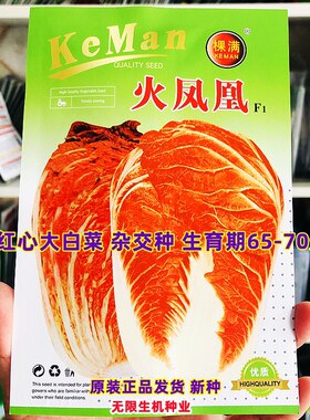 橘红心白菜种籽蔬菜种籽春秋冬季耐寒红心白菜孑火凤凰大白菜种子