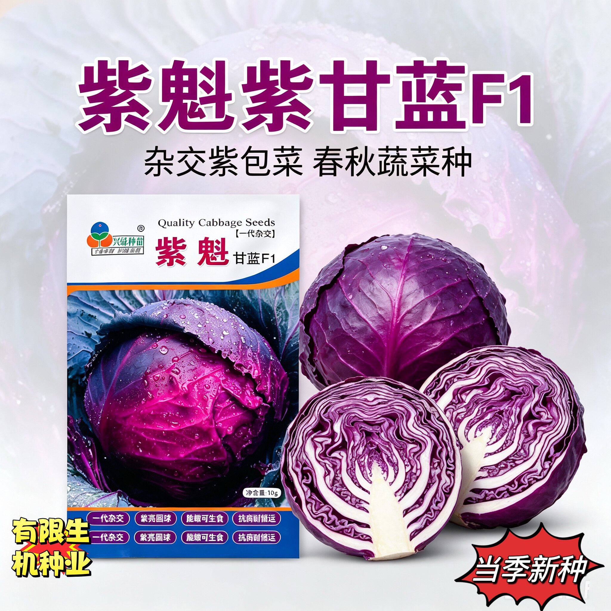 兴绿种苗紫魁甘蓝种子F1杂交圆球紫包菜春秋抗病高产蔬菜种籽10g