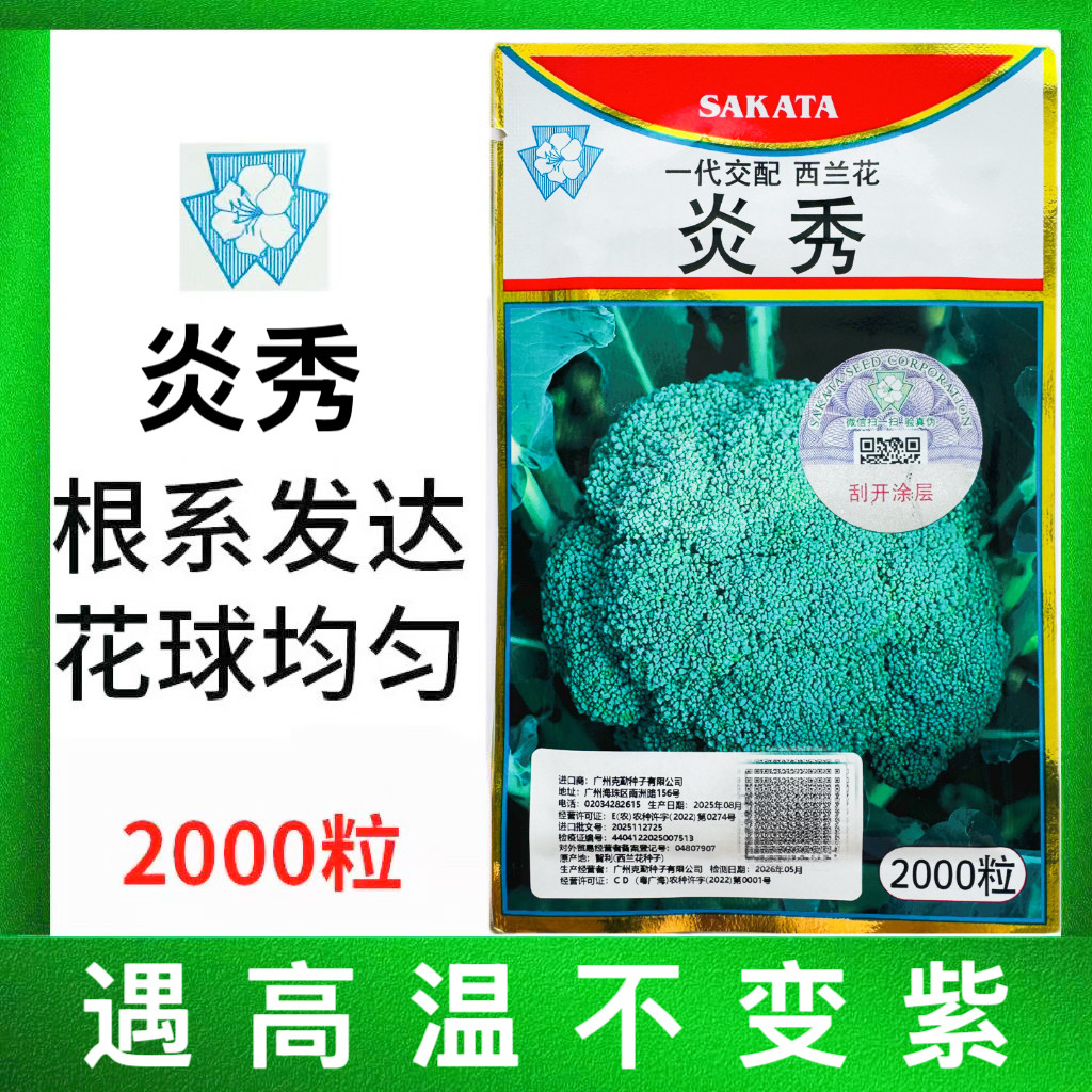 西兰花种子青花椰菜籽秋炎秀优秀西兰花高产花菜西兰花种籽孑耐寒