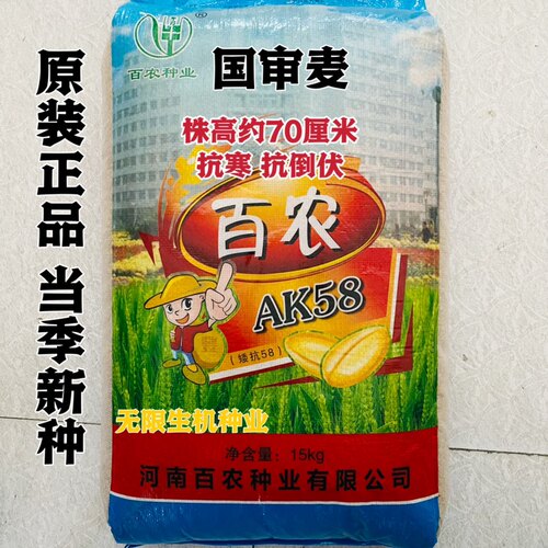 百农AK(矮抗58大田小麦种子高产 稳产抗病抗倒抗寒原装正品麦种籽