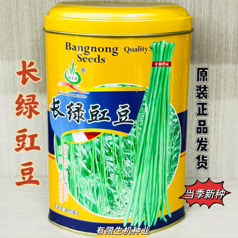 正品长绿豇豆种子抗病高产耐热耐寒春秋播长豆角种籽农家蔬菜种孑