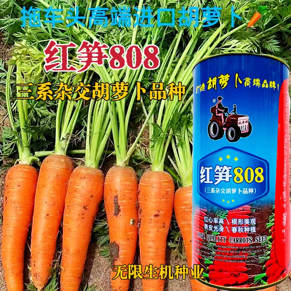正品 红笋808胡萝卜种子红笋七寸水果胡萝卜种籽春秋四季五寸参