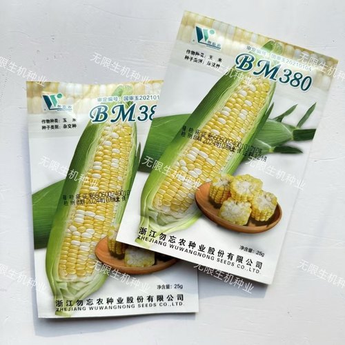 勿忘农BM380甜玉米种子水果玉米皮薄无渣高产口感好苞叶浓绿 正品