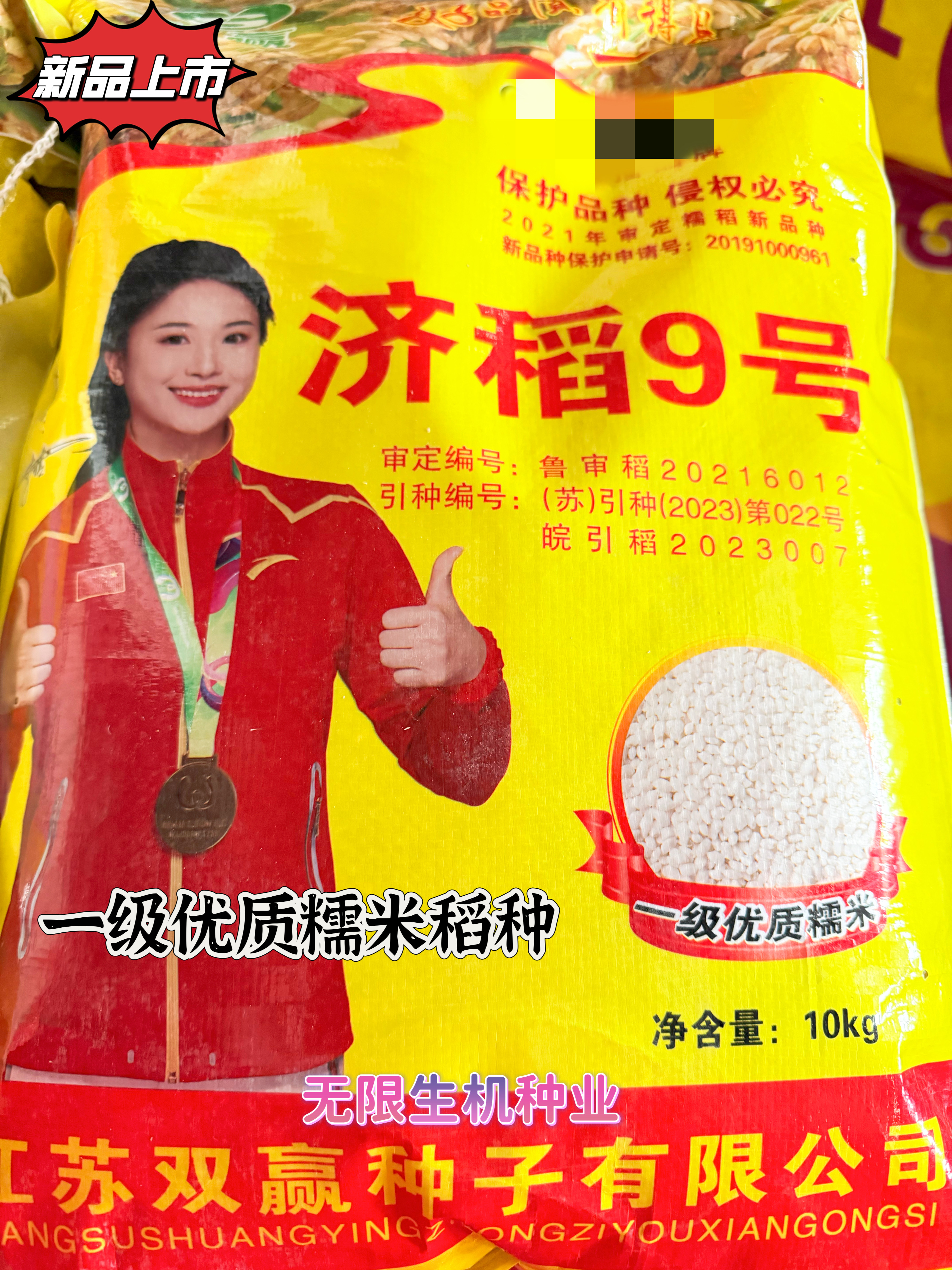 济稻9号洁田糯稻种子常规水稻种籽高产抗病香糯粘一级优质糯米稻