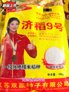 济稻9号洁田糯稻种子常规水稻种籽高产抗病香糯粘一级优质糯米稻