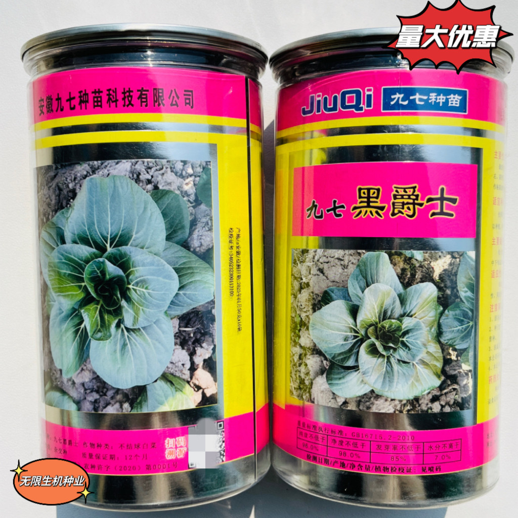 黑叶苏州青种子九七黑爵士青梗菜种籽矮脚黑叶油亮秋冬季耐寒抗病