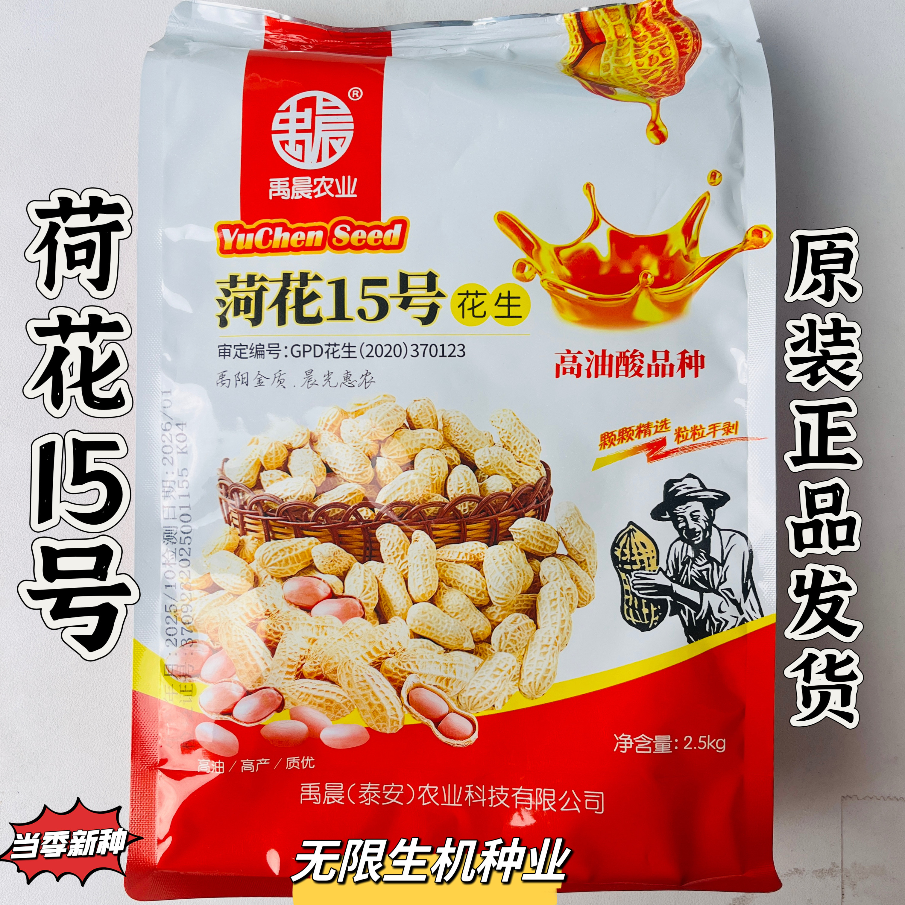 荷花15号花生种子早熟高产高油粉红花生农家大田春夏季播花生正品
