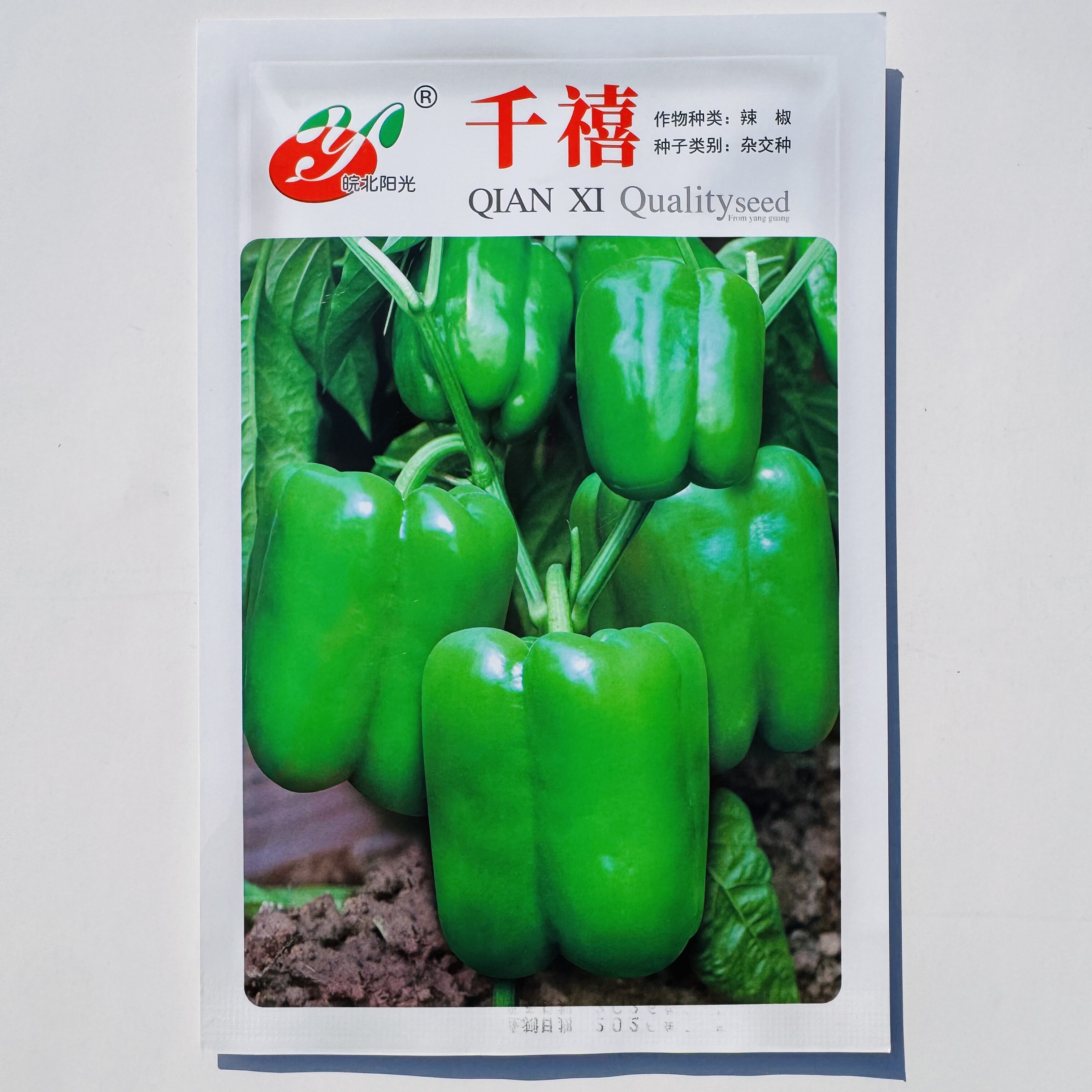 千禧甜椒种子灯笼椒菜椒早熟高产厚肉圆椒方椒辣椒种籽青椒种蔬菜