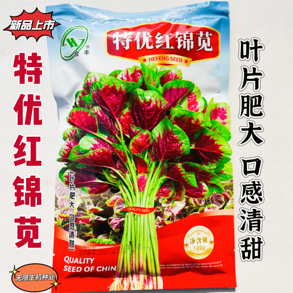 红苋菜种子 特优锦苋红圆叶苋菜种籽 春夏季耐热耐旱农家蔬菜种孑