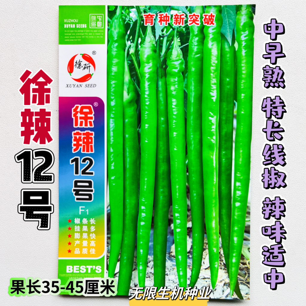 徐辣12号辣椒种子中熟高产抗病特长线椒种籽香辣味浓长线椒种新货