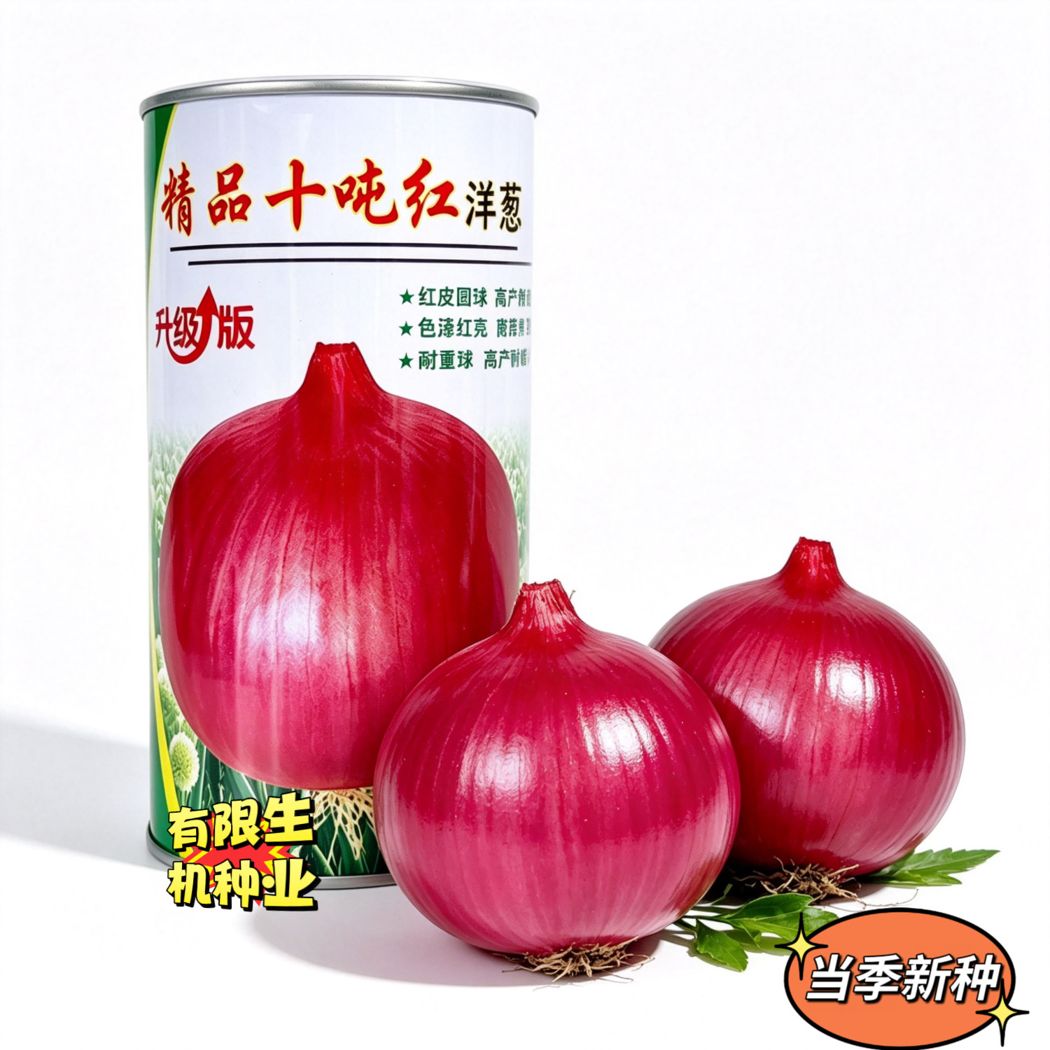 十吨红洋葱种子 红亮大果洋葱籽 耐重茬耐裂球 大田高产红皮洋葱