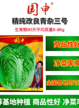 国申改良青杂三号大白菜种子菜园农家秋季播蔬菜籽辣白菜泡菜韩国