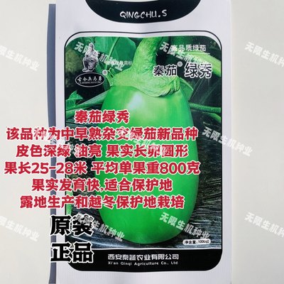 秦茄绿秀茄子种子杂交绿茄种子新品种长卵圆形绿色茄子灯泡茄种籽