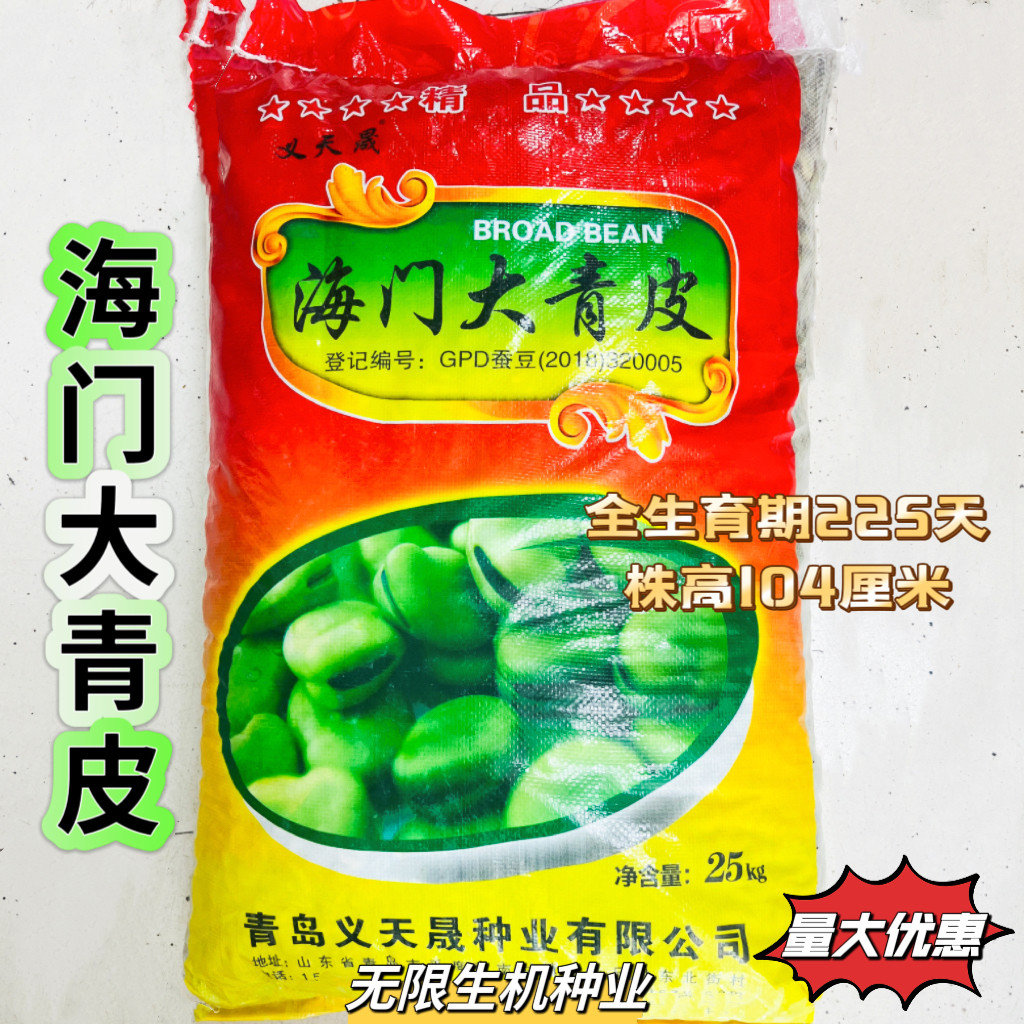 海门大青皮蚕豆种子农家菜园大田春秋播耐寒胡豆种籽罗汉豆青蚕豆
