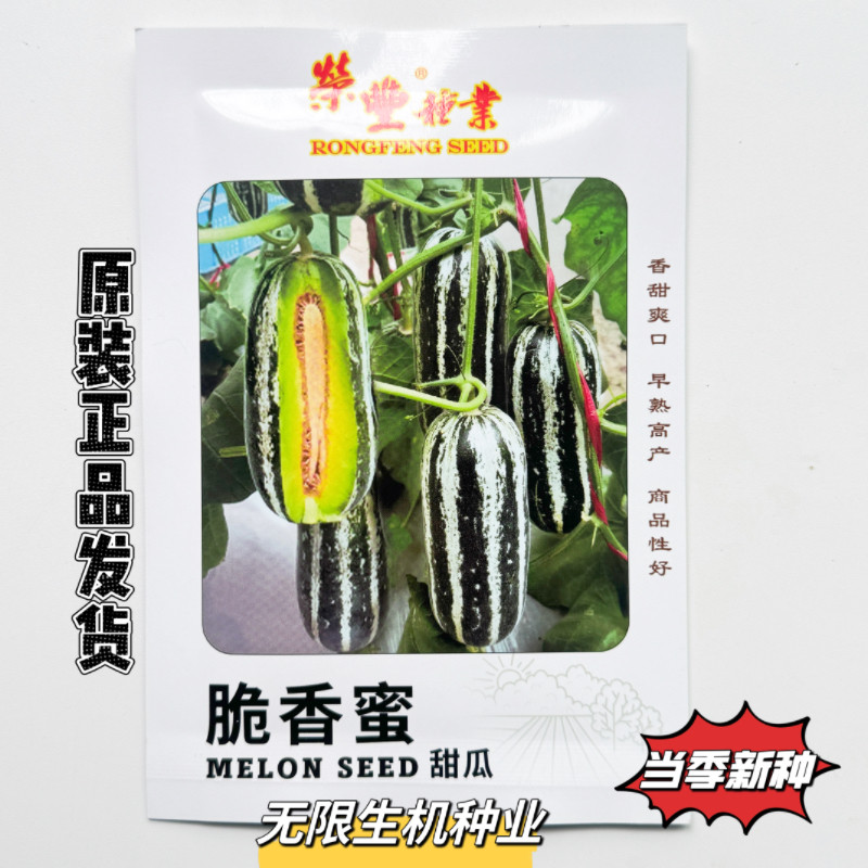 脆香蜜甜瓜种子早熟薄皮甜瓜种籽冰糖子甜掉牙博洋9号酥脆糖度高