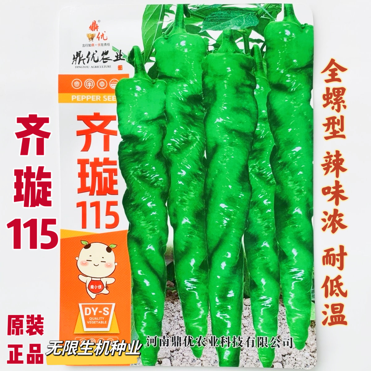鼎优齐璇115辣椒种子香辣高产大果螺丝椒种子陇椒种籽辣味浓无渣