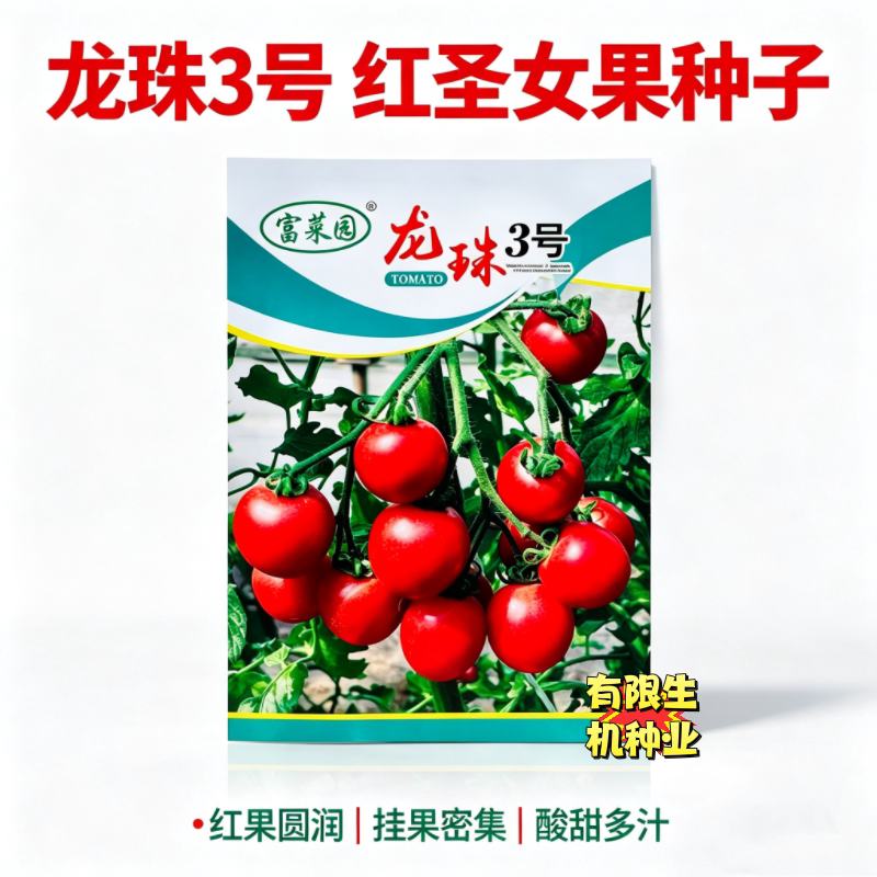 龙珠3号圣女果种子 软糯酸甜粉红小番茄千禧大棚种植高产蔬菜种子