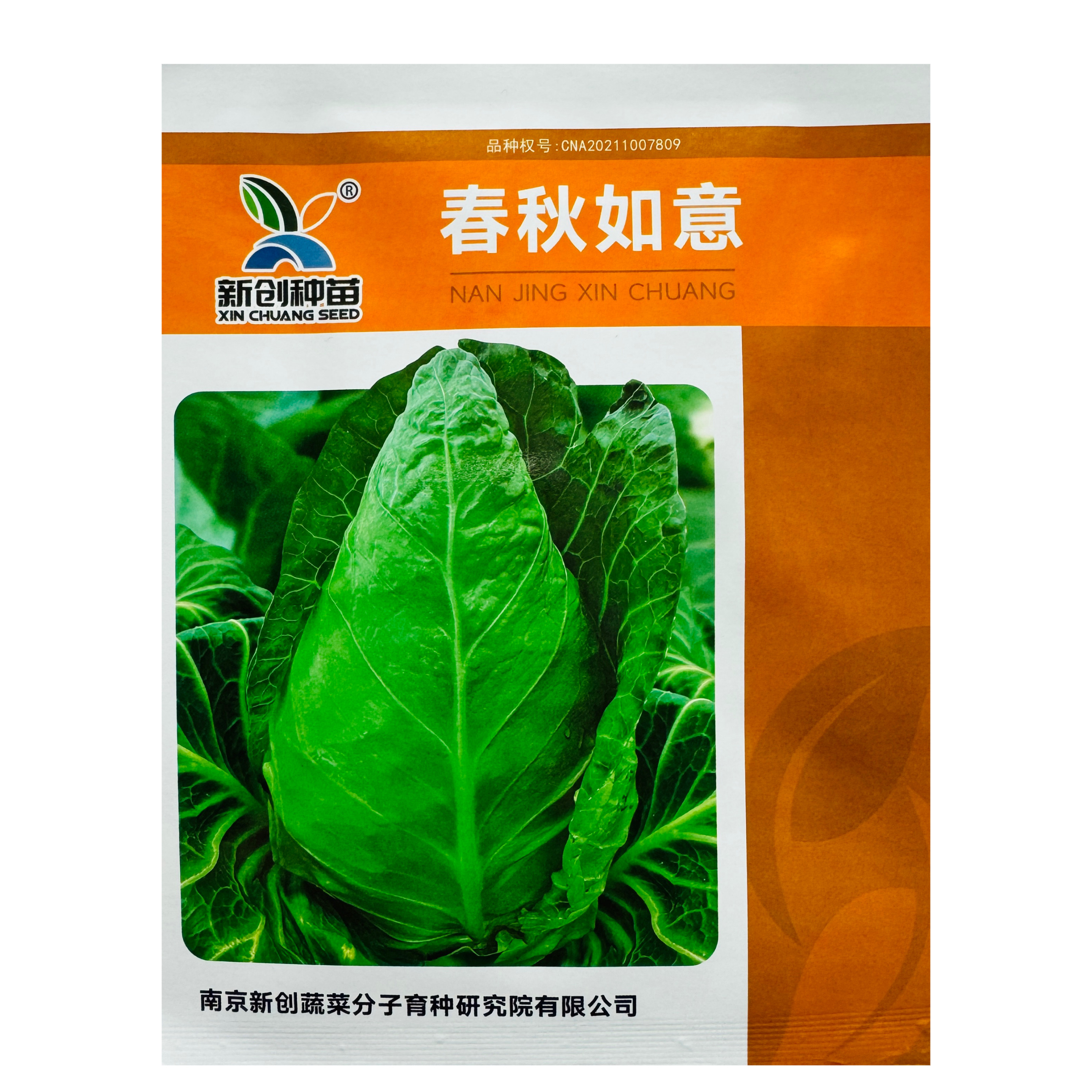 春秋如意牛心甘蓝种子卷心菜包头菜种籽耐热中熟耐热夏秋大田基地