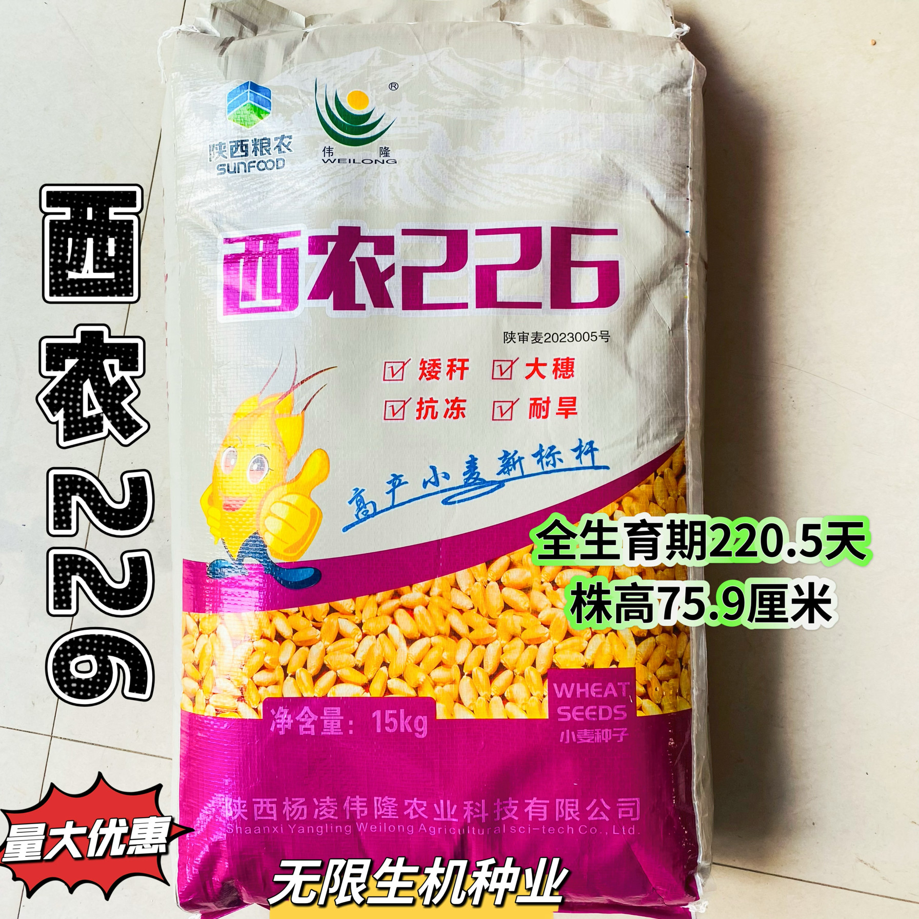 正品 西农226小麦种子农科院超高产小麦种籽矮杆大穗新品种原装