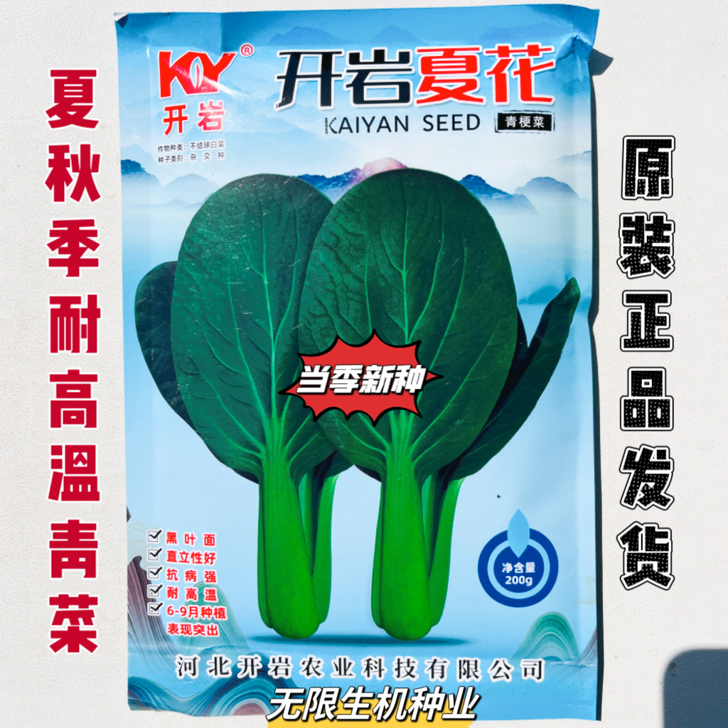 开岩夏花青梗菜种子耐高温耐热青梗小青菜种籽耐雨抗病强四季播种