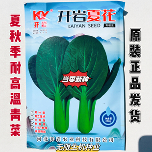 开岩夏花青梗菜种子耐高温耐热青梗小青菜种籽耐雨抗病强四季播种