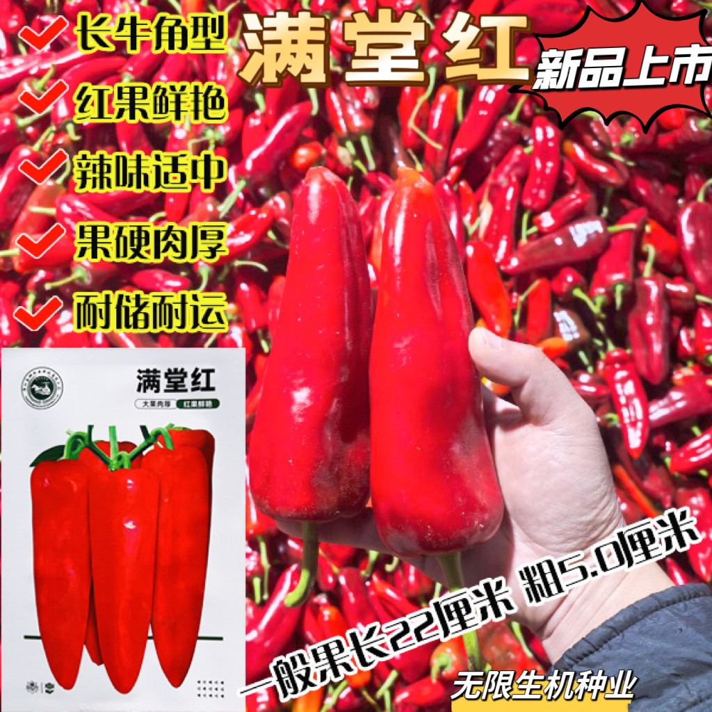 满堂红辣椒种子早熟粗长牛角型大果青红椒种籽辣味适中红辣椒种孑