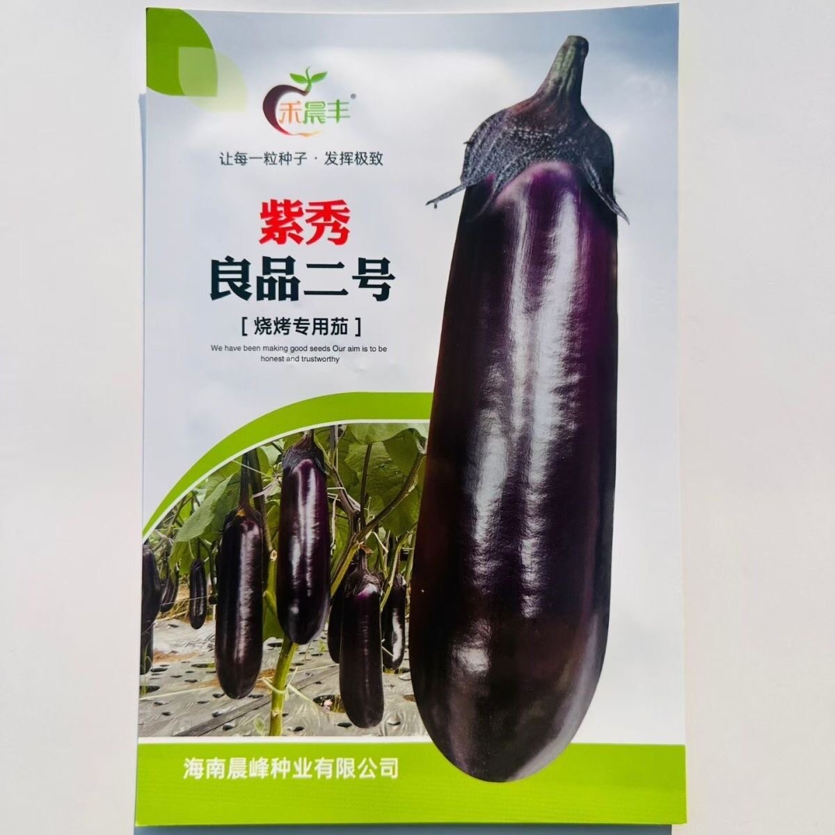 紫秀良品二号茄子种子新品烧烤茄种籽中熟深紫红长茄种籽果肉白色