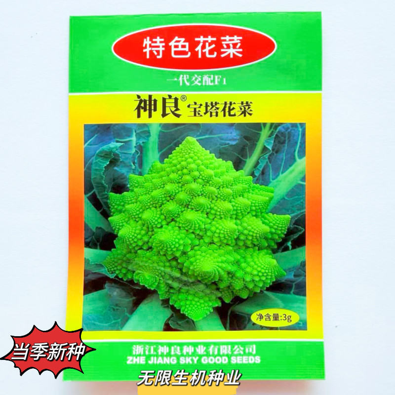 神良宝塔花菜种子耐寒性好富贵菜食用观赏蔬菜南北方秋播蔬菜种子