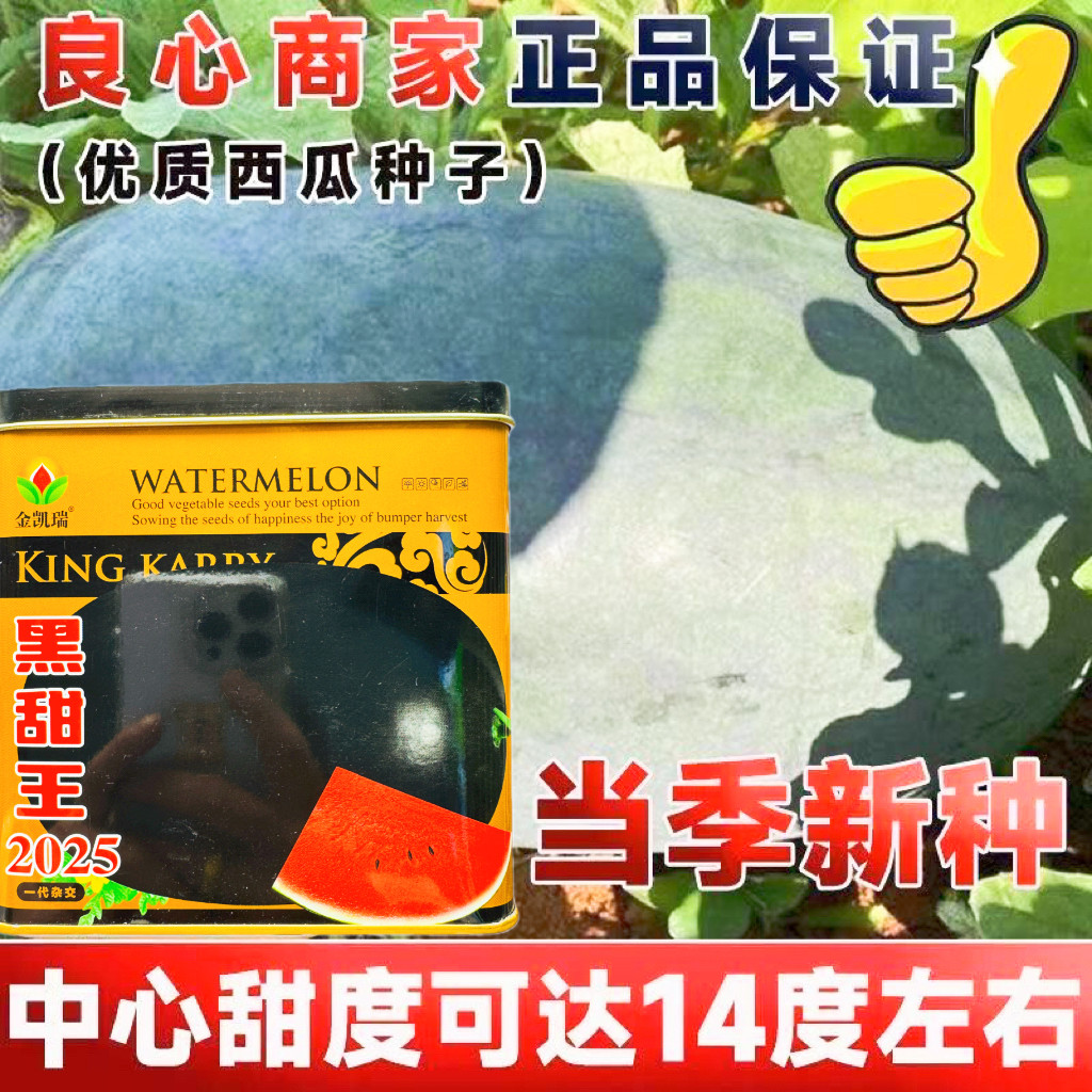 黑甜王西瓜种子黑皮黄瓤西瓜种子超甜巨型西瓜籽四季懒汉西瓜正品