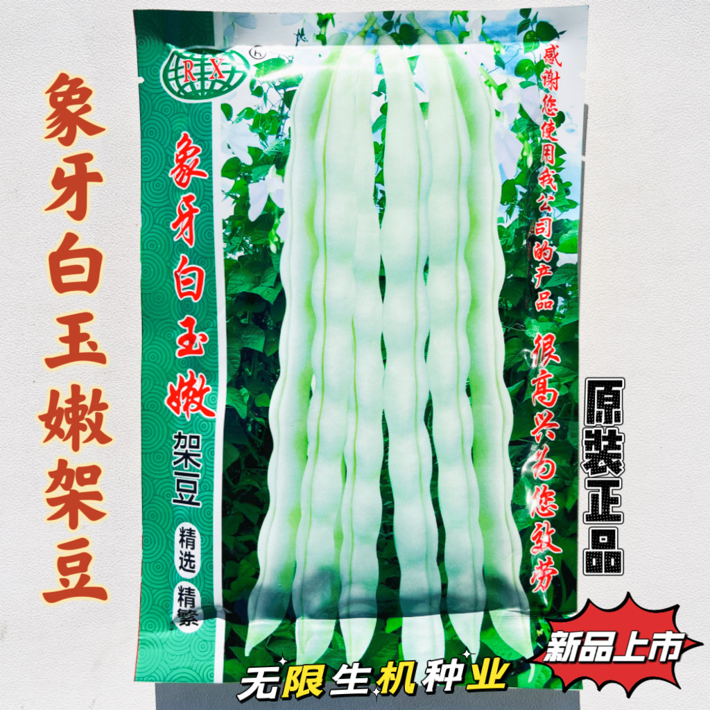象牙白玉嫩架豆王种子早熟高产白玉嫩四季豆种籽农家春夏秋蔬菜种