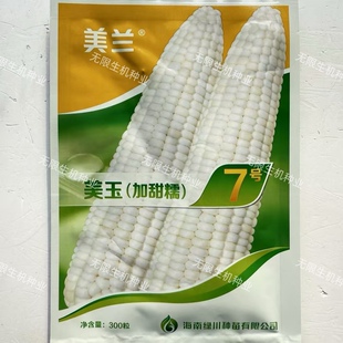 美玉（加甜糯)7号玉米种子品质优种皮超薄甜度高香甜糯粘玉米种籽