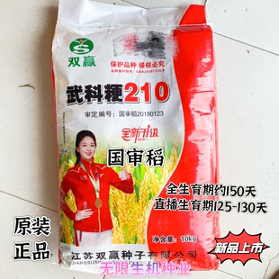 武科粳210水稻种子国审洁田粳稻种籽圆粒香米种子常规大田水稻种