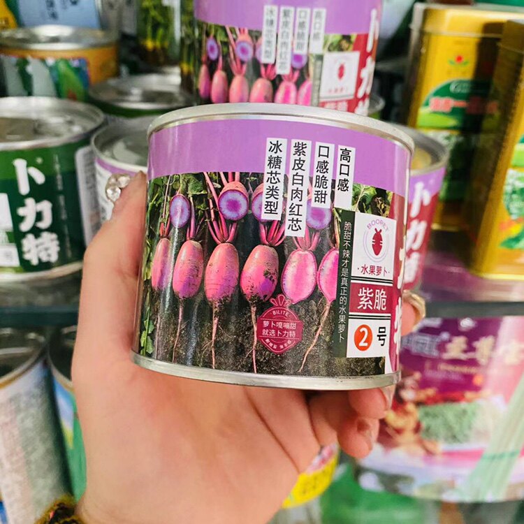 水果萝卜种子紫脆2号冰糖心萝卜种籽甜脆四季紫冰淇淋萝卜种包邮