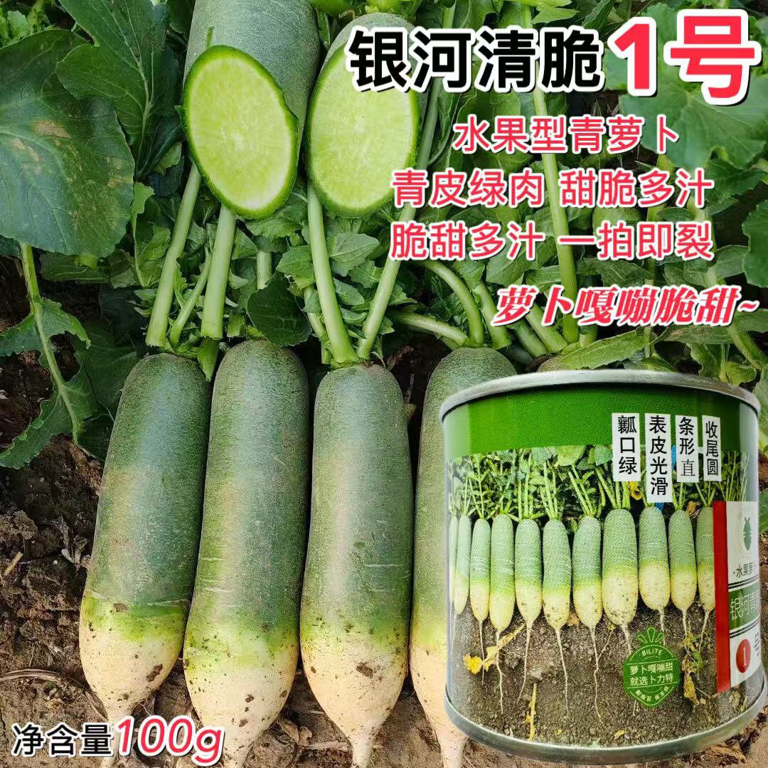 银河青脆1号水果萝卜种子脆甜光滑七星萝卜沙窝萝卜蔬菜籽种正品